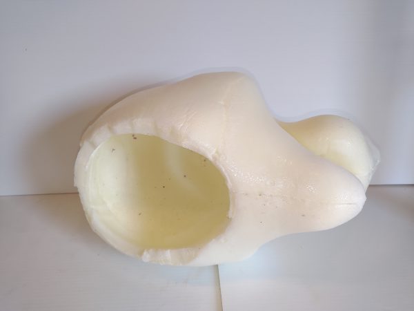 Bud the Canine, Furry Fursuit Foam Full Head Base for Fursuiting, For Furries and Cosplay - DIY - fhb13 - Image 3