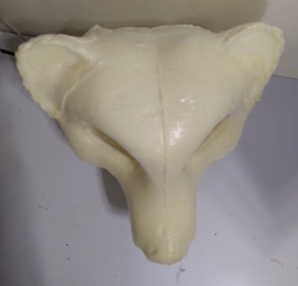 Ben the Bear, Furry Fursuit Foam Full Head Base for Fursuiting, For Furries and Cosplay - DIY - fhb17 - Image 7
